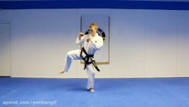 Taekwondo Jump Flying Side Kick Tutorial  GNT