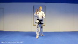 Taekwondo Twist Kick Tutorial  GNT