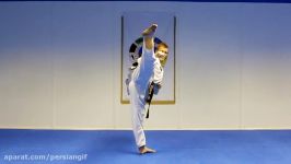 Taekwondo Round KickTurning Kick Tutorial  GNT