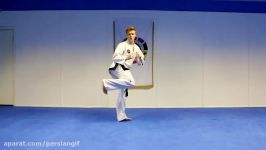 Taekwondo Spin Back Kick Tutorial  GNT