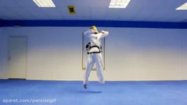 Taekwondo Jump Spin Hook Kick Air Break