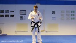 Taekwondo Side Kick Tutorial  GNT