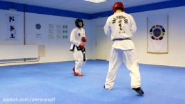 Taekwondo Sparring Session Ginger Ninja Trickster