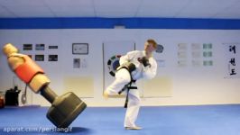 Taekwondo Kicking and Training Sampler on the BOB XL