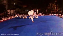 Live Taekwondo Seminar Battle in Portugal  Kicks