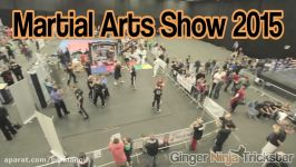 Martial Arts Show 2015 Highlights  Kicks