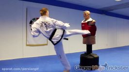 Taekwondo Kicking