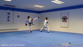 Taekwondo Sparring Session GNT Vs Aaron Rose  Ginger Ninja Trickster