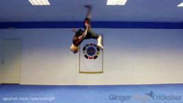 Back Flip Tutorial  GNT