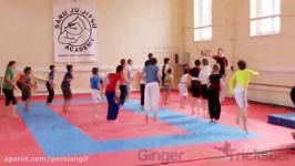 Swansea Martial Arts Seminar 23413