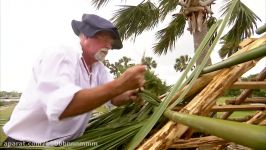 Thatching  First Colony Our Spanish Origins