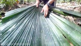 Penan thatching with palm leaves  Borneo