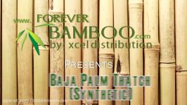 Forever Bamboo.Com Building Tutorial Series Baja Palm Thatch Installation