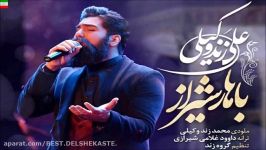 Ali Zand Vakili – Bahare Shiraz NEW 2017 آهنگ جدید علی زند وکیلی به نام