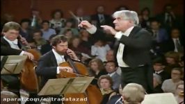 BEETHOVEN  Symphony No. 5  Leonard Bernstein 1