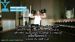 آموزش حرکت پرس شانه دمبل نشسته روی نیمکت پشتی دار Seated Dumbbell Press