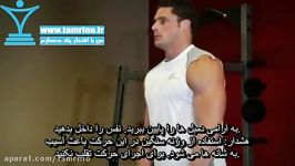 آموزش حرکت بلند کردن جفت دمبل عمودی ایستاده Standing Dumbbell Upright Row