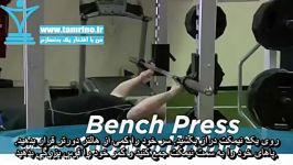 آموزش حرکت پرس هالتر روی نیمکت – پاورلیفتینگ Bench Press  Powerlifting