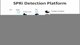 Zeta Potential Measurement by SPRi