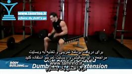 آموزش حرکت پشت بازو دمبل تک دست کف دست رو به جلو نیمکت One Arm Pronated Dumbbell