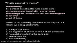 What is assortative mating