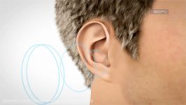 Video about Hearing and How it Works  MED EL