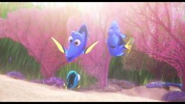 Baby Dory Clip  Finding Dory