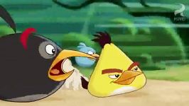 انیمیشن سریالی Angry Birds Toons  قسمت 20  Run Chuck Run