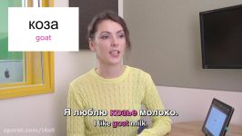 Weekly Russian Words with Katya  Mammals