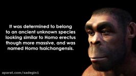 10 Mysterious Extinct Human Species