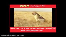 طنز خنده دار راز بقای گوآته مالا