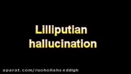 What Is The Definition Of Lilliputian hallucination