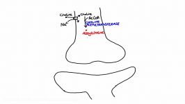 Pharmacology  CHOLINERGIC DRUGS MADE EASY