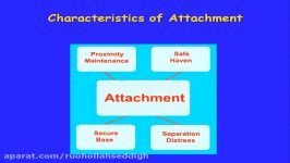 Attachment Theory  John Bowlby