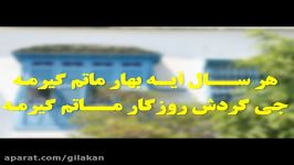 کلیپ شعر طنز گیلکی داوود خانی لنگرودی به گویش رشتی