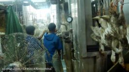 کشتارگاه غاز www.Rasti.ir GOOSE PROCESSING LINE