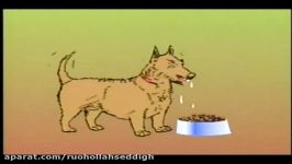 Classical Conditioning Pavlov