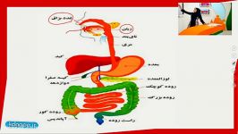 علوم هفتم فصل سیزدهم مبحث سفر عذا