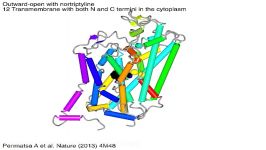 Dopamine transporter and antidepressant