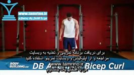 آموزش حرکت جلو بازو دمبل متناوب Dumbbell Alternate Bicep Curl