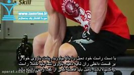 آموزش حرکت جلو بازو تک دست نشسته Concentration Curls