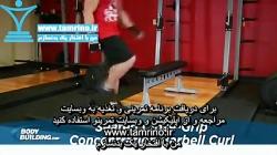 آموزش حرکت جلو بازو هالتر نشسته دست نزدیک به هم Seated Close Grip Concentrati