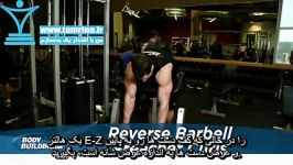 آموزش حرکت جلو بازو هالتر برعکس لاری Reverse Barbell Preacher Curls