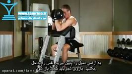 آموزش حرکت جلو بازو دمبل لاری تک دست One Arm Dumbbell Preacher Curl