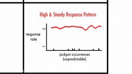 Learning Schedules of Reinforcement