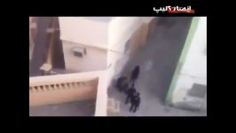 ضرب شتم وحشیانه معترضان بحرینی