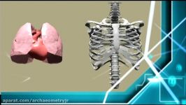 History of Computerized Tomography CT Scanner