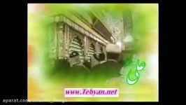 سلیم موذن زاده  علی دارم چه غم دارم