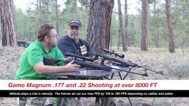 Gamo Magnum .177 and .22 FULL REVIEW – AirgunWebTV Special Feature