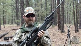 On the Hunt with AirgunWebTV  Hunting Kaibab Squirrels with the Walther MaximaT